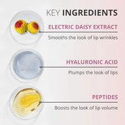 goPure Lip Plumper – Plumping lip gloss formula with Hyaluronic Acid & Peptides, moisturizing, volumizing, smooths the loo...