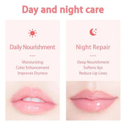 3 PCS Bee Lip Balm Honey