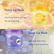 Lip Moisturizer Lip Balm, 6-Pack Lip Lips