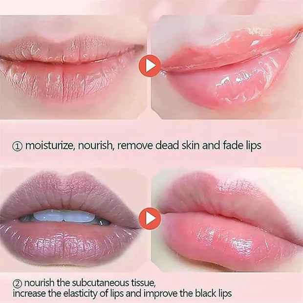 4 PCS Bee Lip Balm Honey Exfoliator