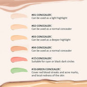 Foundation Concealer Palette + Color Corrector Palette, Light