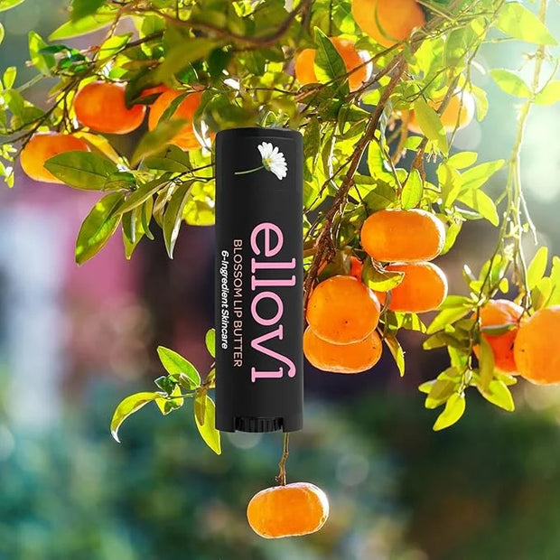 Natural Lip Butter Lip Balm -