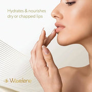 Lavender Aerated Lip Balm tin - Single