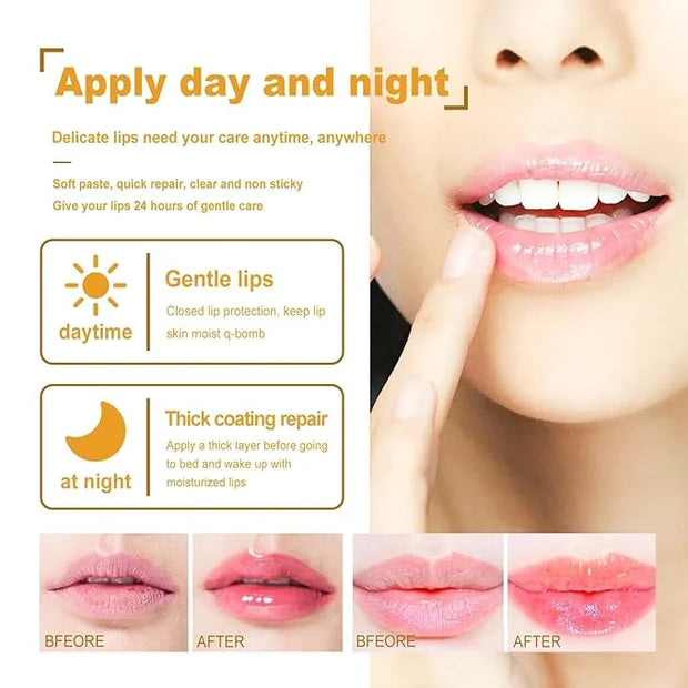 2PCS Bee Lip Balm Honey Pot