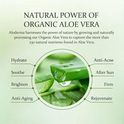 Aloderma Essential Aloe Soothing & Repairing Skin Care Set - 4 Pieces - Gel, Cleanser, Toner, Cream - Product Image
