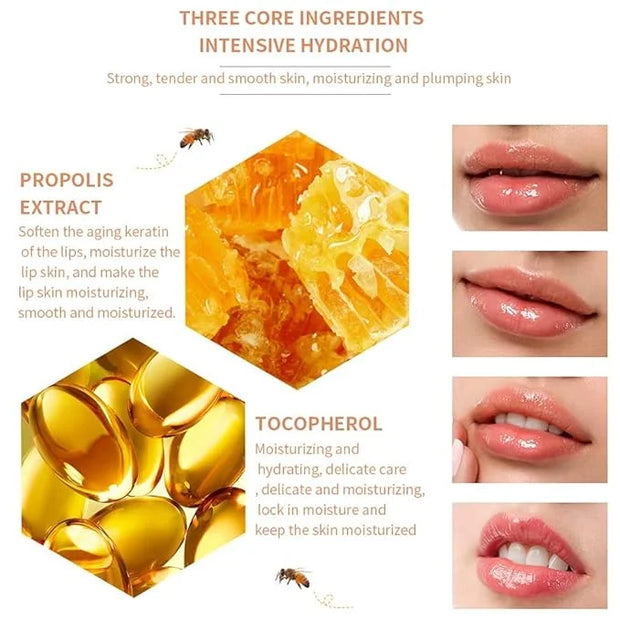 2PCS Bee Balm Lip Balm Honey
