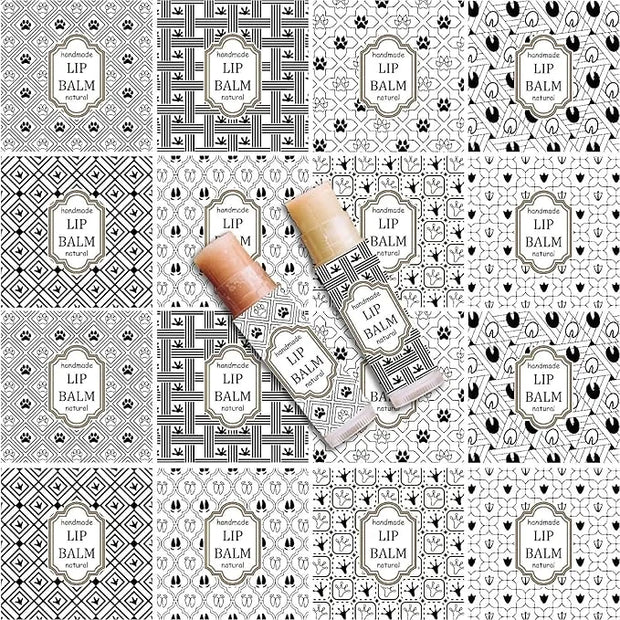 CRASPIRE 80Pcs 8 Styles Lip Balm Lipsticks