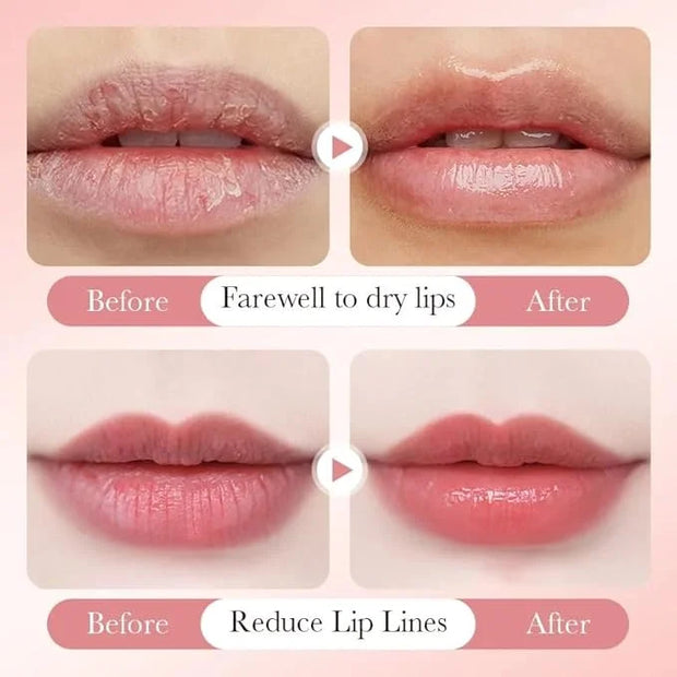 Avocado Lip Balm Vitamin E Oil Lips