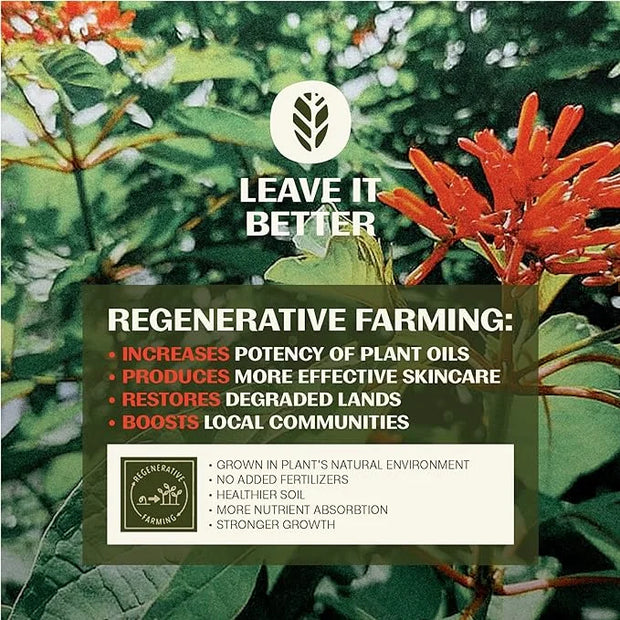 Thrive SPF50 Protect & Exfoliate Superplant Skin Care Set - Gift Set with Reef Safe SPF50 Mineral Sunscreen & Face Scrub -...