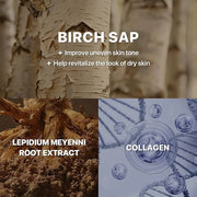 Nature Republic Birch Intensive for Men Skin Care Kit, Face Wash & Moisturizer for Hydrated Skin, Facial Toner (4.05 Fl.Oz...