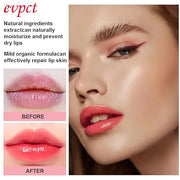 evpct 2Pcs Strawberry Color Changing Lipstick Tinted Lip Balm Gloss Stain Set Magic PH Color Changing Flower Lazy Korean J...