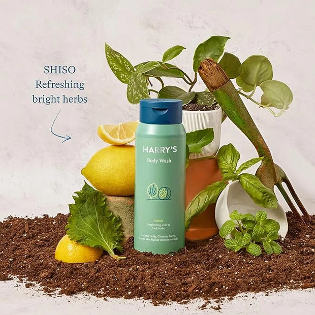 Harry's Men's Body Wash Shower Gel - Shiso, 16 Fl Oz (Pack of 3) - Product Image