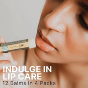 USDA Organic Lip Balm - USA Made with Natural Ingredients, 12 Pack Multi Flavor Lips Moisturizer, Moisturizing Lip Care, B...