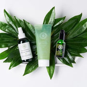 Honeybee Gardens 3-Step Skincare System | For all Skin Types | Vegan, Cruelty Free, Gluten Free - Product Image