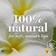 Burt's Bees Lip Balm - Coconut and Pear, Lip Moisturizer With Responsibly Sourced Beeswax, Tint-Free, Natural Origin Condi...
