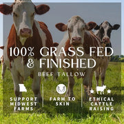 All Natural Whipped Tallow Balm – 100% Grass-Fed Beef Tallow, Organic Ingredients, Handmade Face + Body Moisturizer & Loti...