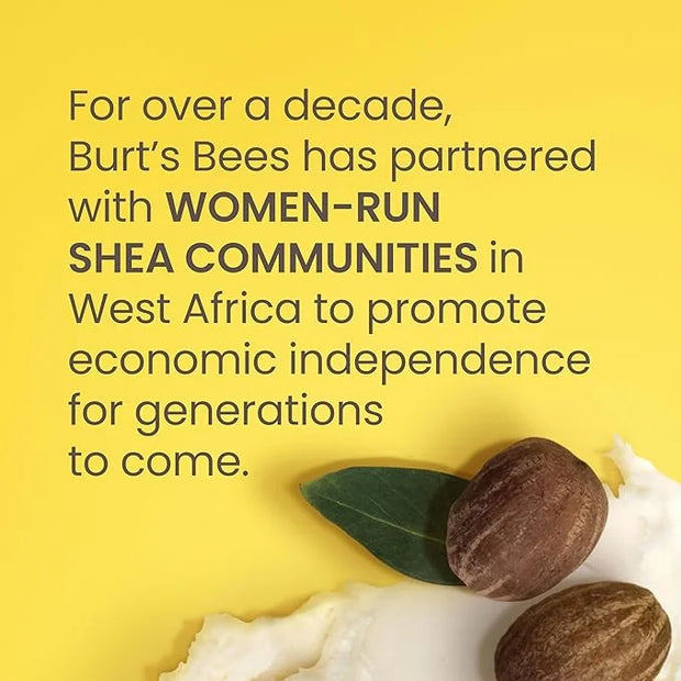 Burt's Bees Shea and Aloe Moisturizing Lip Balm, Lip Moisturizer With Responsibly Sourced Beeswax, Tint-Free, Natural Orig...