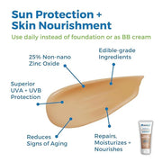 Waxhead Tinted Sunscreen with Zinc Oxide (Sheer Medium Tint) - Tinted Mineral Sunscreen, BB Cream Tinted Moisturizer with ...