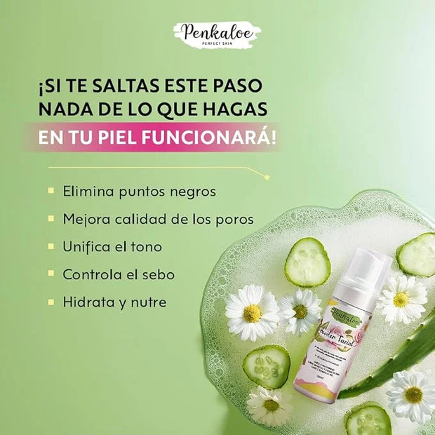 Penkaloe Aloe Skincare Kit | Cuidado Natural para la Piel, Control de Grasa y Mejora de la Apariencia | Aloe Skincare Rout...