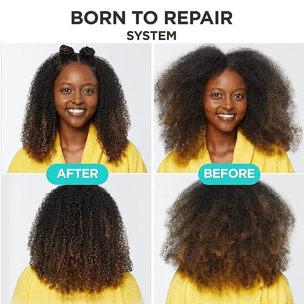 Carol's Daughter Born To Repair Nourishing Conditioner, Sulfate-Free Hair Care for Curly Hair with Shea Butter, 11 Fl Oz -...