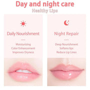 3 PCS Bee Lip Balm Honey Wrinkle