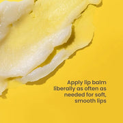 Burt's Bees Shea and Aloe Moisturizing Lip Balm, Lip Moisturizer With Responsibly Sourced Beeswax, Tint-Free, Natural Orig...