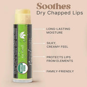 USDA Organic Lip Balm - USA Made with Natural Ingredients, 12 Pack Multi Flavor Lips Moisturizer, Moisturizing Lip Care, B...