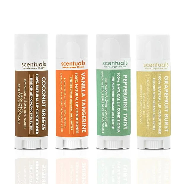 Lip Balm Set of 4, Made