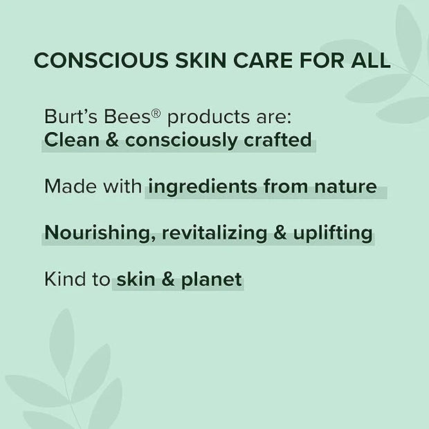 Burt's Bees Lip Balm, Moisturizing Lip