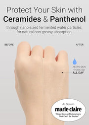 [JUNGSAEMMOOL OFFICIAL] Essential Mool Cream Light 1 oz | Hydration Moisturizer | for Combination, Oily Skin - Product Image