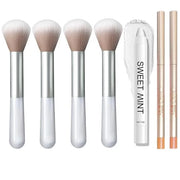 4 Pcs Cheek Makeup Brush, 2 Pcs Lip Perfecting