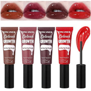 4 Colors Hydrating Glossy Liquid Lipstick Set, Moisturizing Shiny Tinted Lip Gloss, Nourishing Long Lasting Lip Stain Lip ...