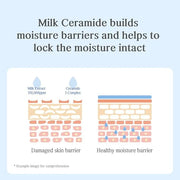 NACIFIC Uyu Cream Moisturizing Set Toner 150ml 5.07fl.oz, Ampoule 50ml 1.69fl.oz, Cream 50ml 1.69fl.oz, Milk Jeju Island, ...