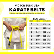 Karate Belt, All-Purpose Martial Arts Belt, Judo, Taekwondo 0-6. - Product Image