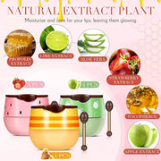 12 Pcs Bee Lip Balm Honey