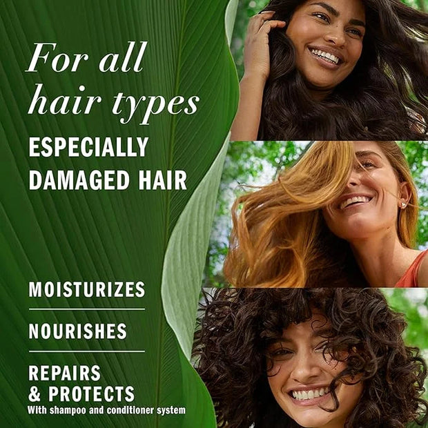 Herbal Essences Avocado Oil Sulfate Free Shampoo, Hair Repair, 13.5 Fl Oz, with Certified Camellia Oil and Aloe Vera, For ...