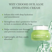 Aloderma Essential Aloe Hydrating Skin Care Set - 4 Pieces - Gel, Cleanser, Toner, Cream - Product Image
