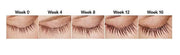 SPECTACULASH RAPID LASH SERUM for Eyelash Growth Serum to Grow Long Natural Lashes – Grow Long Eye Lashes – Lash Condition...