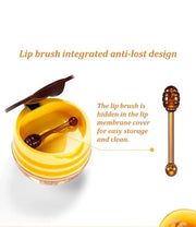 Bee Lip Balm Honey Pot,Honey Lip Exfoliator