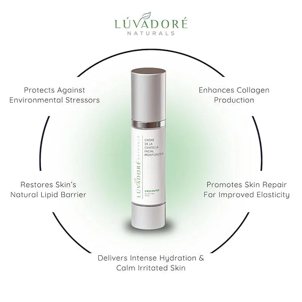 Crème De La Centella Moisturizer – Hydrating & Repairing Centella Soothing Cream with Aloe, Shea Butter & Green Tea, Thick...