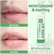 24 Pack Lip Balm Bulk, Vanilla
