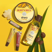 Burt's Bees Shea and Aloe Moisturizing Lip Balm, Lip Moisturizer With Responsibly Sourced Beeswax, Tint-Free, Natural Orig...