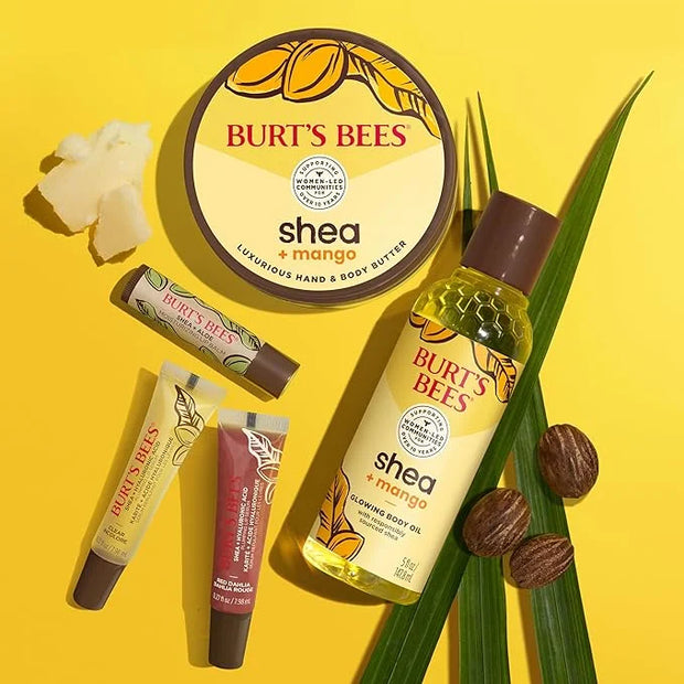 Burt's Bees Shea and Aloe Moisturizing Lip Balm, Lip Moisturizer With Responsibly Sourced Beeswax, Tint-Free, Natural Orig...