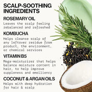 Pacifica Scalp Smoothie Hydrating Scalp Treatment & Leave-On Hair Mask, Cooling Relief for Dry, Flaky, Itchy Scalp & Thinn...