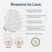 Colorproof Scalp Cleansing Brush for Optimal Hair Health — Scalp Scrubber for Deep Cleansing — Removes Buildup & Impuritie...