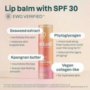 ATTITUDE Oceanly Tinted Lip Balm Shell,