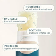 Cliganic Organic Lip Balm Set (Fresh Picked, 8 Flavors) - 100% Natural Moisturizer for Cracked & Dry Lips - Product Image