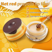 2 Pack Nourishing Bee Lip Balm