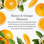 Beekman 1802 Pure Goat Milk Hand Cream, Honey & Orange Blossom - Scented - 2 oz - Moisturizing Lotion for Dry Skin - Anti-...