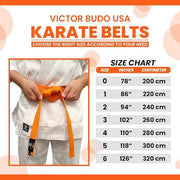 Karate Belt, All-Purpose Martial Arts Belt, Judo, Taekwondo 0-6. - Product Image